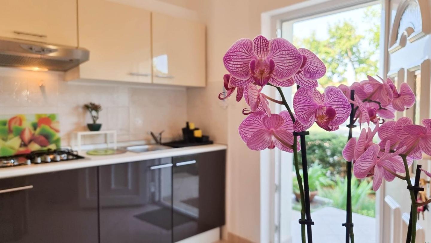 Bosko Apartment Umag Bagian luar foto
